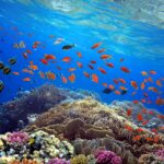 Slow Travel in the Mediterranean: How to Explore the Islands Mindfully